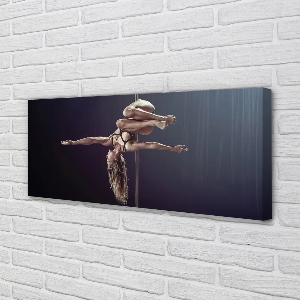 Obraz na płótnie Taniec na Rurze