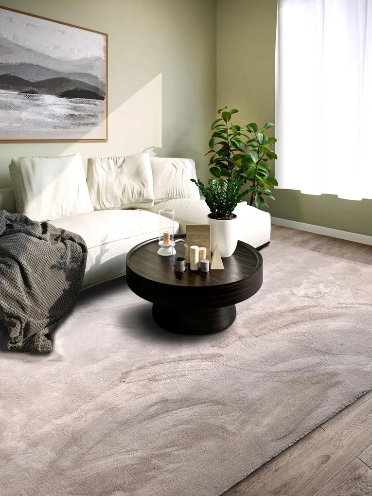 Dywan pluszowy Leon Villeroy &amp; Boch jasno szary 120 cm x 170 cm