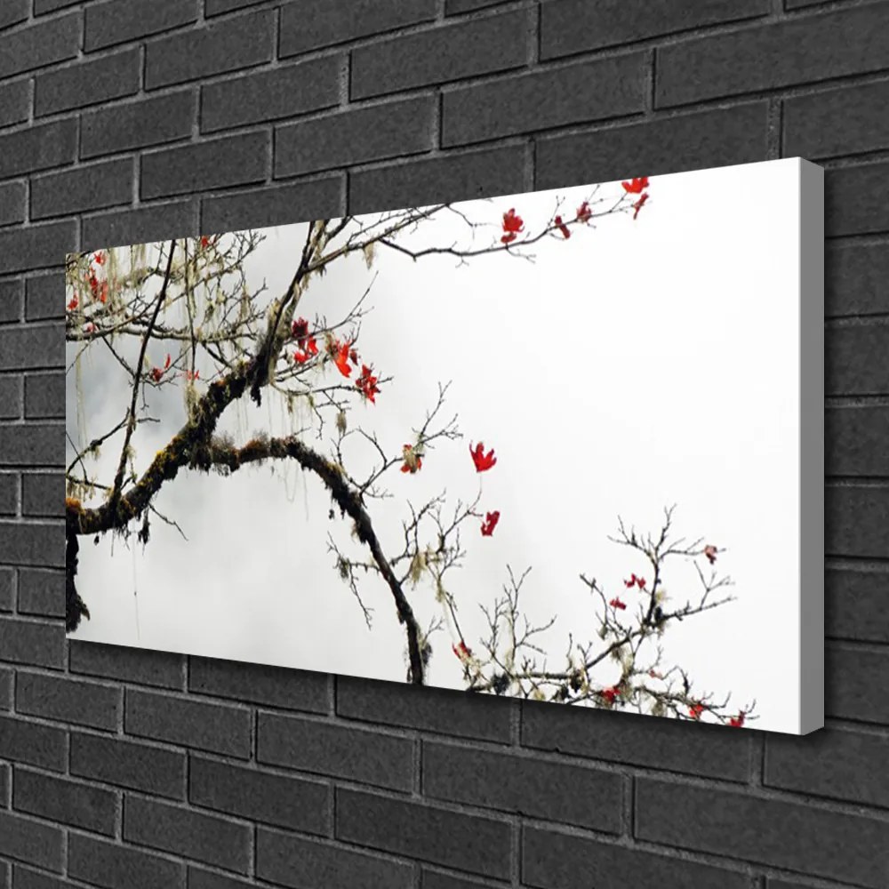 Obraz na płótnie Kwitnąca Gałązka Natury