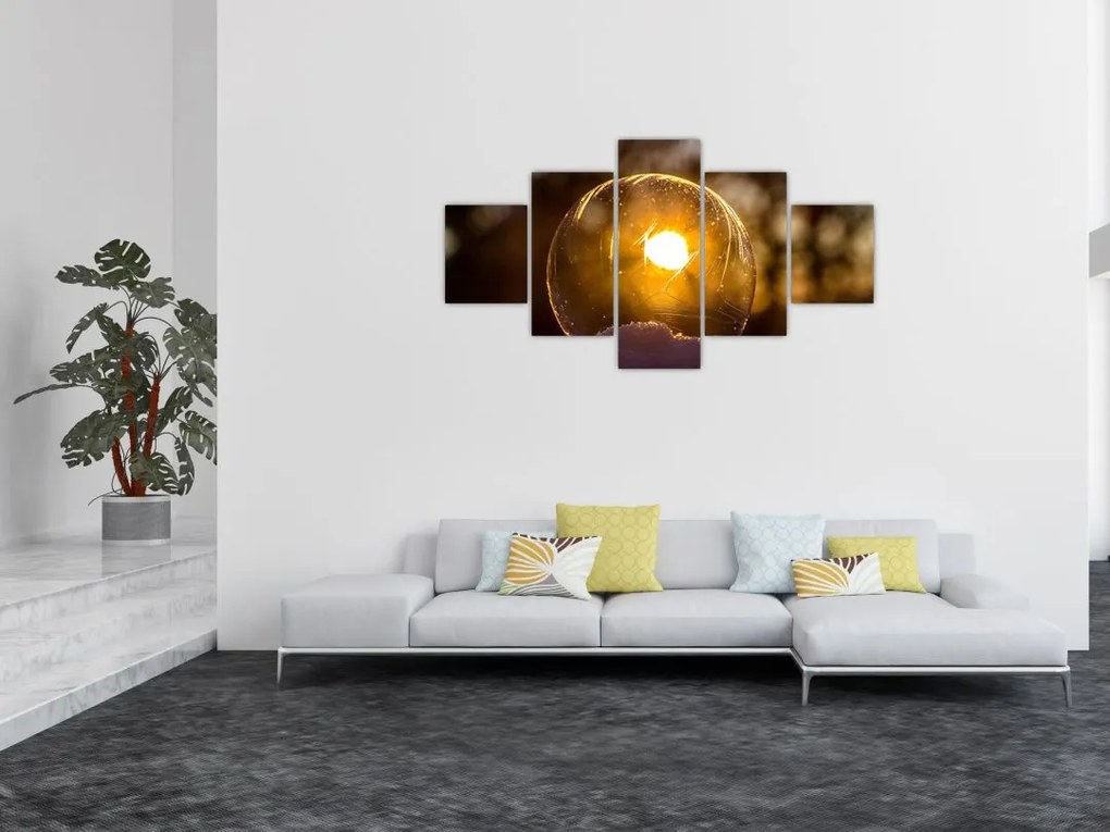 Obraz - Przezroczysta bańka (125x70 cm)