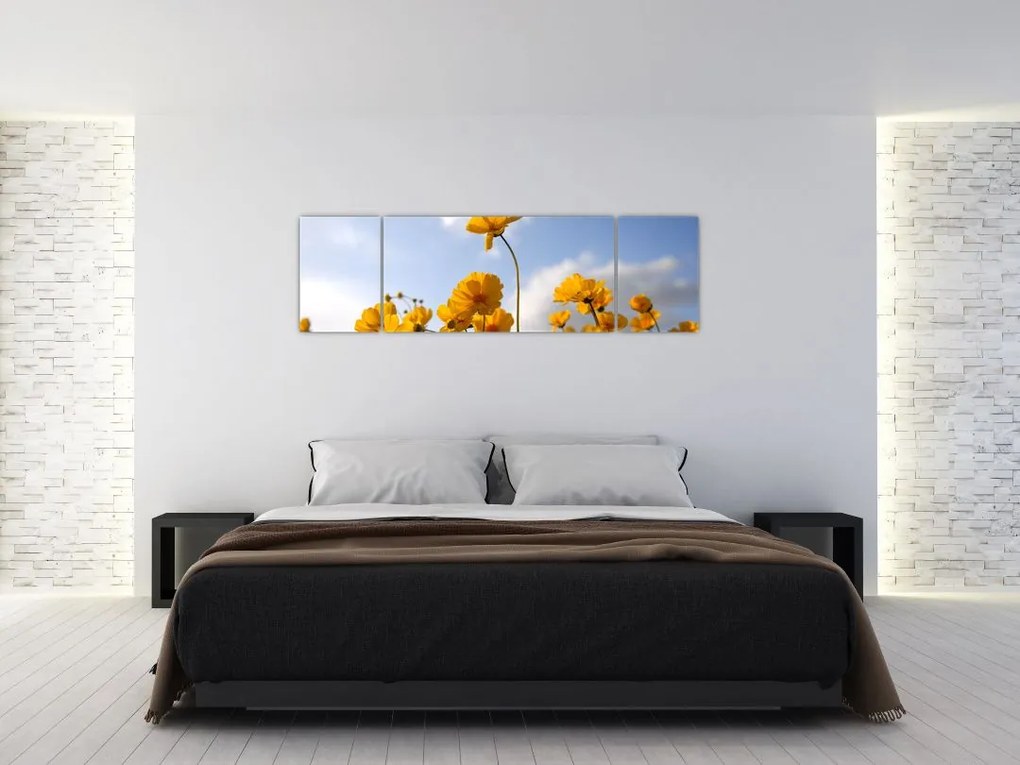 Obraz pola z jasnożółtymi kwiatami (170x50 cm)