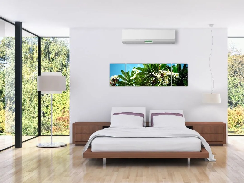 Obraz - Plumeria (170x50 cm)