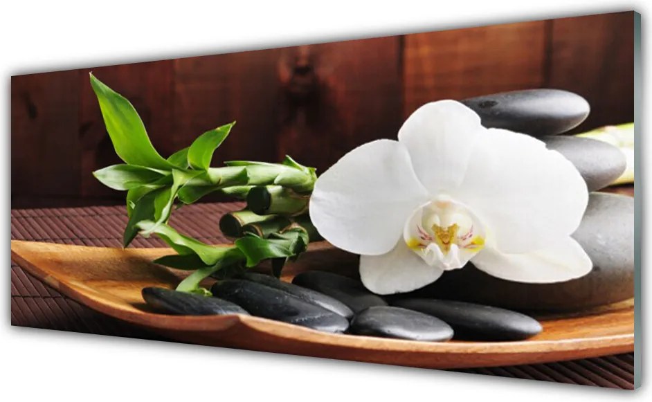 Panel Szklany Harmonijny Duet: Bambus i Storczyk