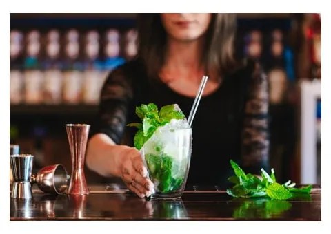 Szklanek kubki do latte podwójną/z ścianką zestaw 6 szt. 350 ml – Vialli Design