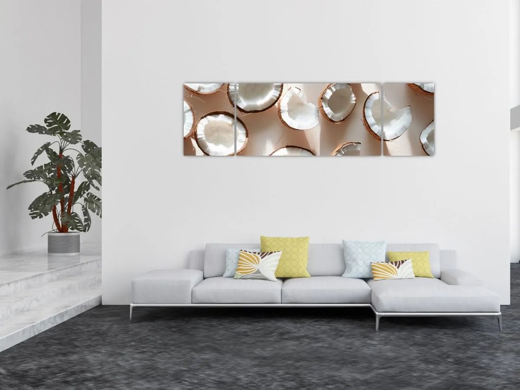 Obraz - Kokosy (170x50 cm)