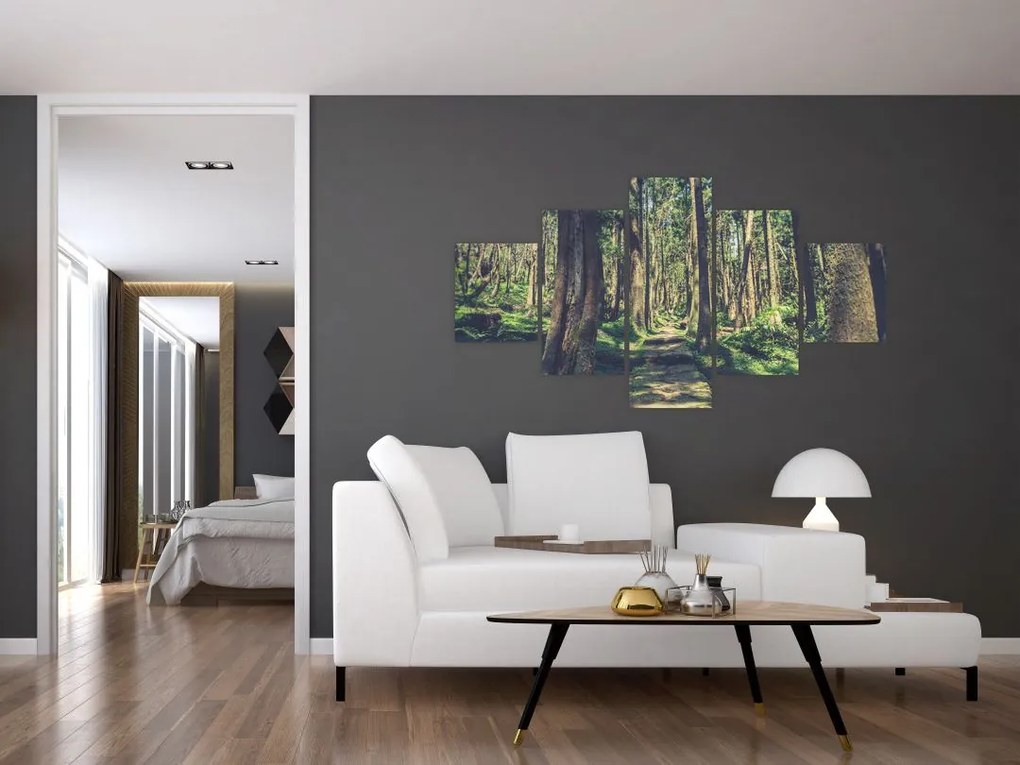 Obraz ścieżki pomiędzy drzewami (125x70 cm)