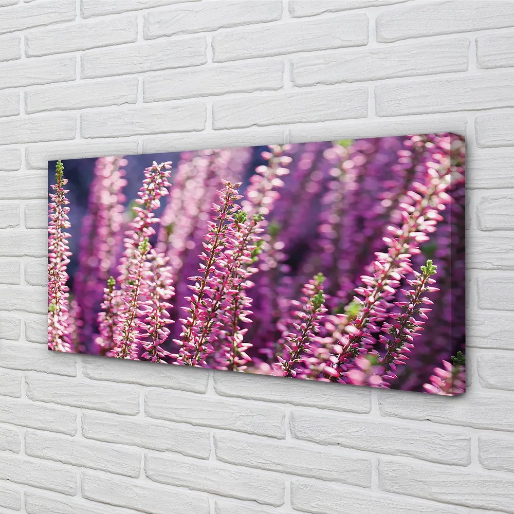 Duży obraz na płótnie Kwiaty