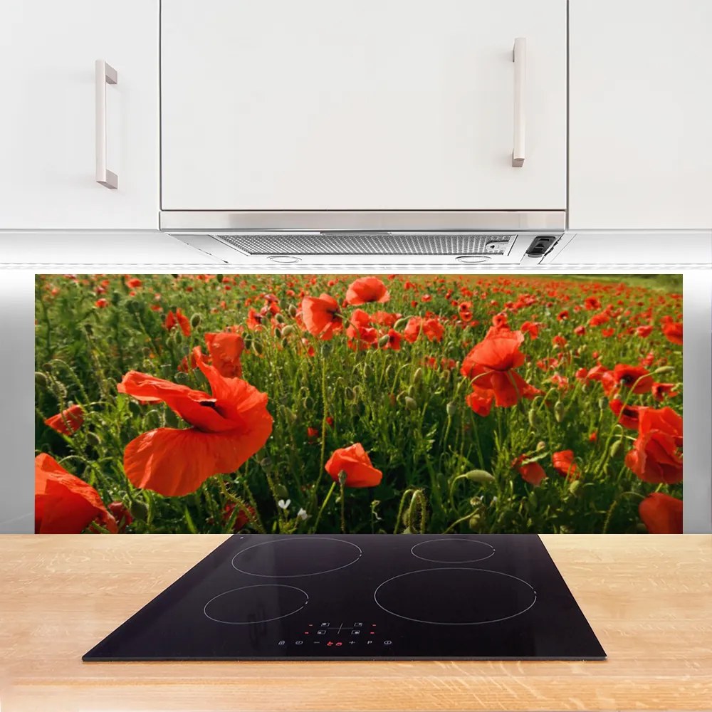 Panel Szklany Maki w Porannej Rosie