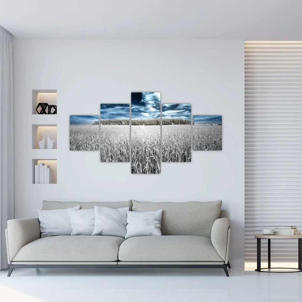 Obraz pola (125x70 cm)