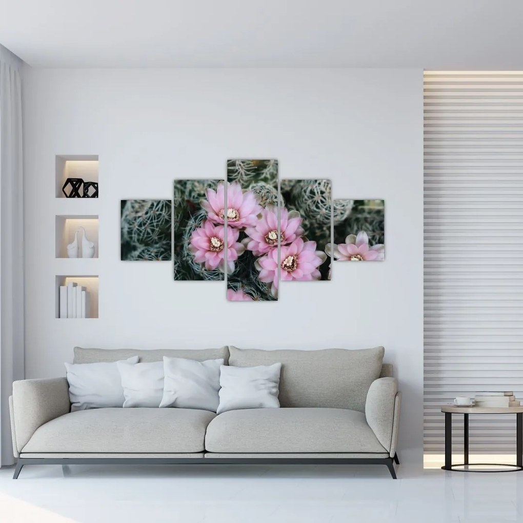Obraz kwiatu kaktusa (125x70 cm)