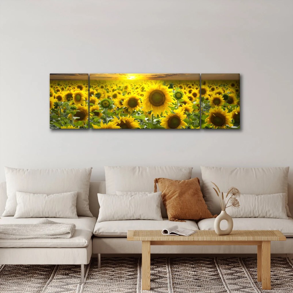 Obraz - Słoneczniki o zachodzie słońca (170x50 cm)