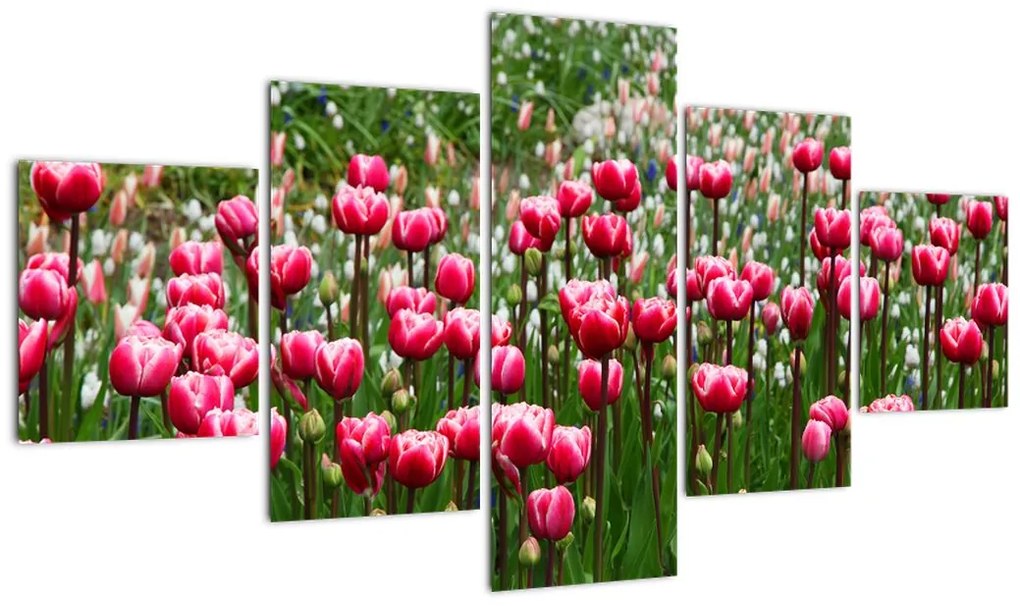 Obraz tulipanów (125x70 cm)