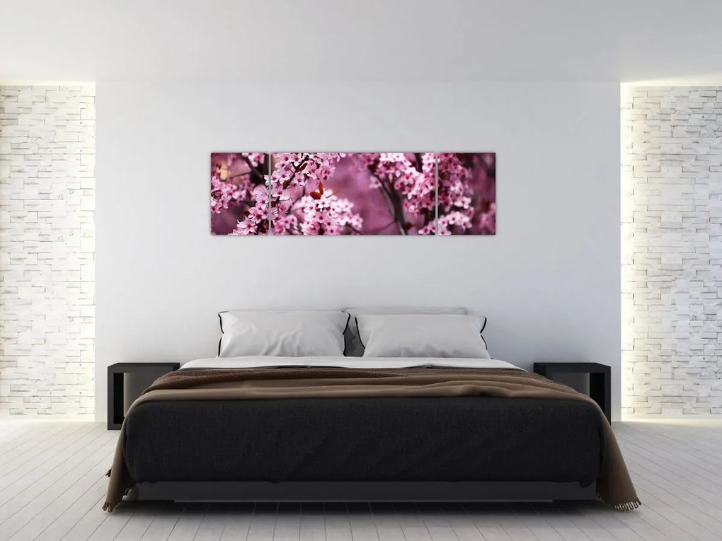 Obraz - Różowa sakura (170x50 cm)