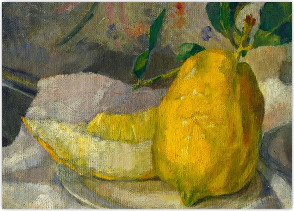 Obraz - French 19th Century, Melon and Lemon, reprodukcje (70x50 cm)