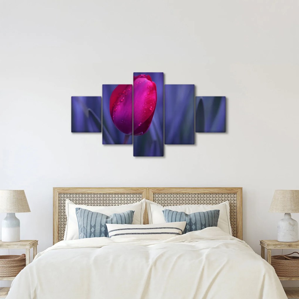 Obraz pąka tulipana (125x70 cm)