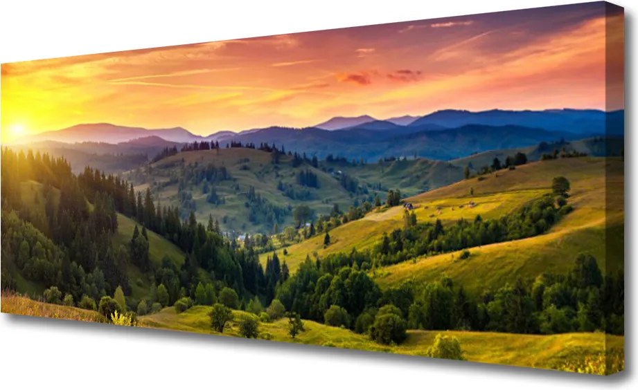 Obraz canvas Egzotyczny Kwiat Plumerii