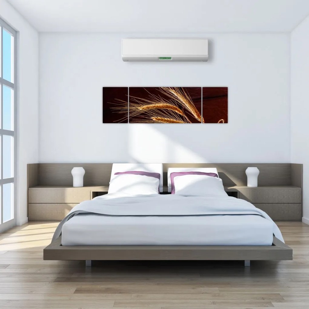 Obraz - Fragment kłosa żyta (170x50 cm)