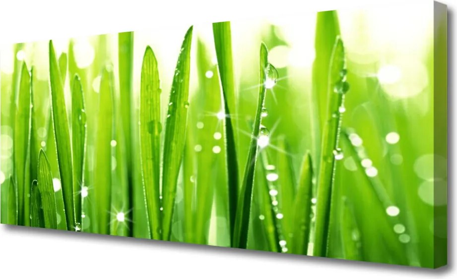 Fotoobraz na płótnie Szum Polnej Trawy