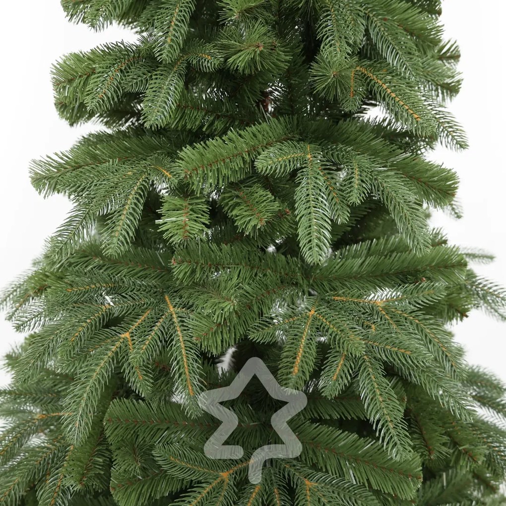 Jodła naturalna 210 cm