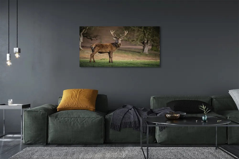 Obraz canvas na ścianę Samotny Jeleń na Polu