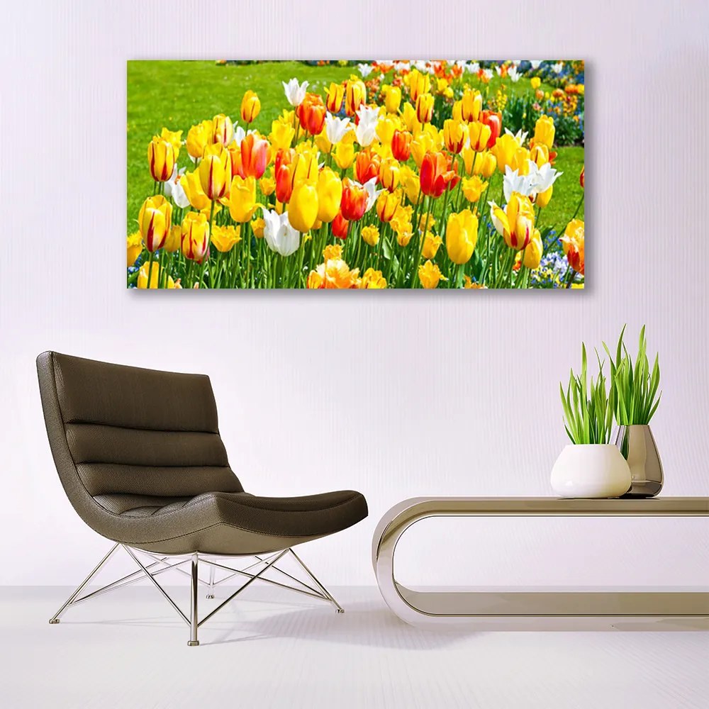 Obraz Canvas Tulipany Kwiaty Natura