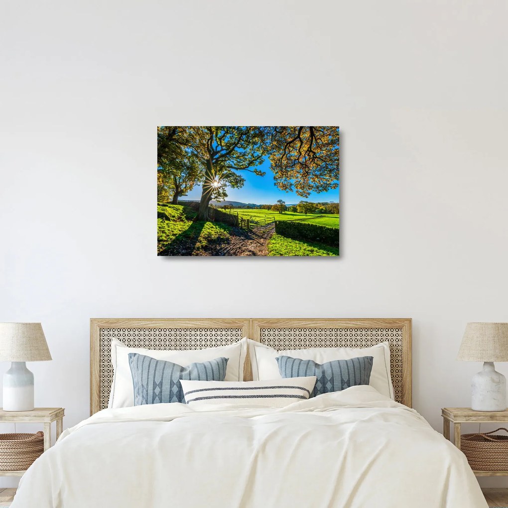 Obraz na szkle - widok pola (70x50 cm)