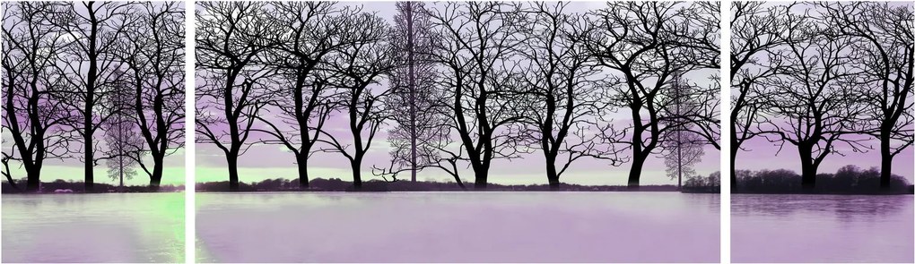 Obraz - Łodka na jeziorze (170x50 cm)