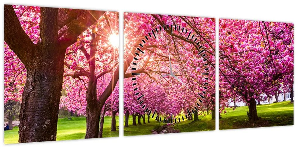 Obraz kwitnących czereśni, Hurd Park, Dover, New Jersey (z zegarem) (90x30 cm)