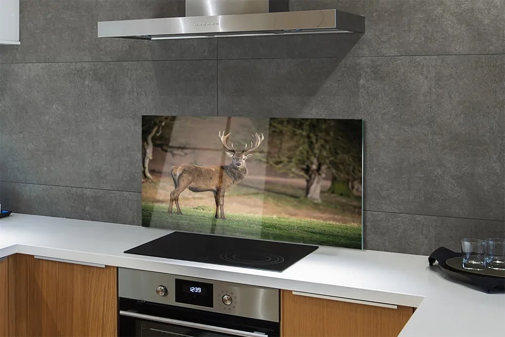 Panel nad Blat Kuchenny Spokój Jelenia na Polanie