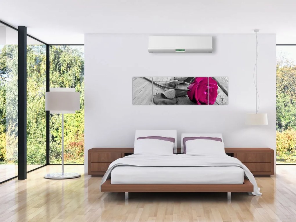 Obraz - Różowa róża (170x50 cm)