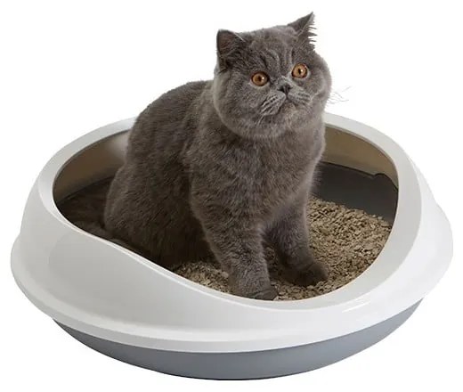 Biało-szara kuweta dla kota 49x55 cm Savic Figaro – Plaček Pet Products