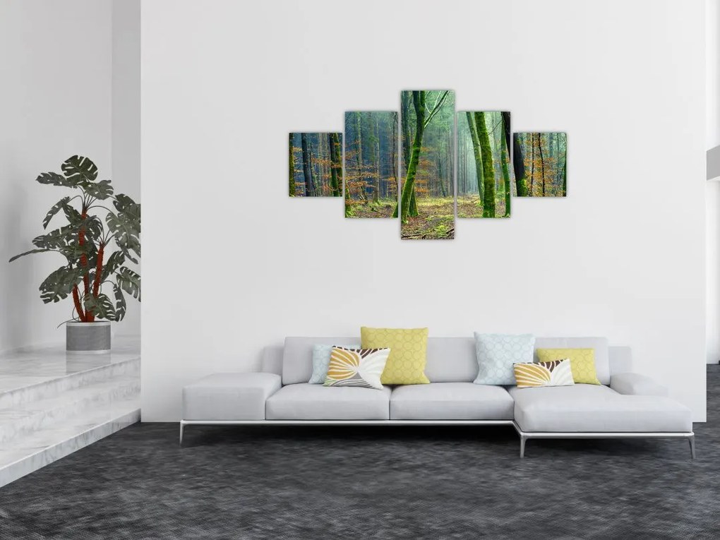 Obraz lasu (125x70 cm)