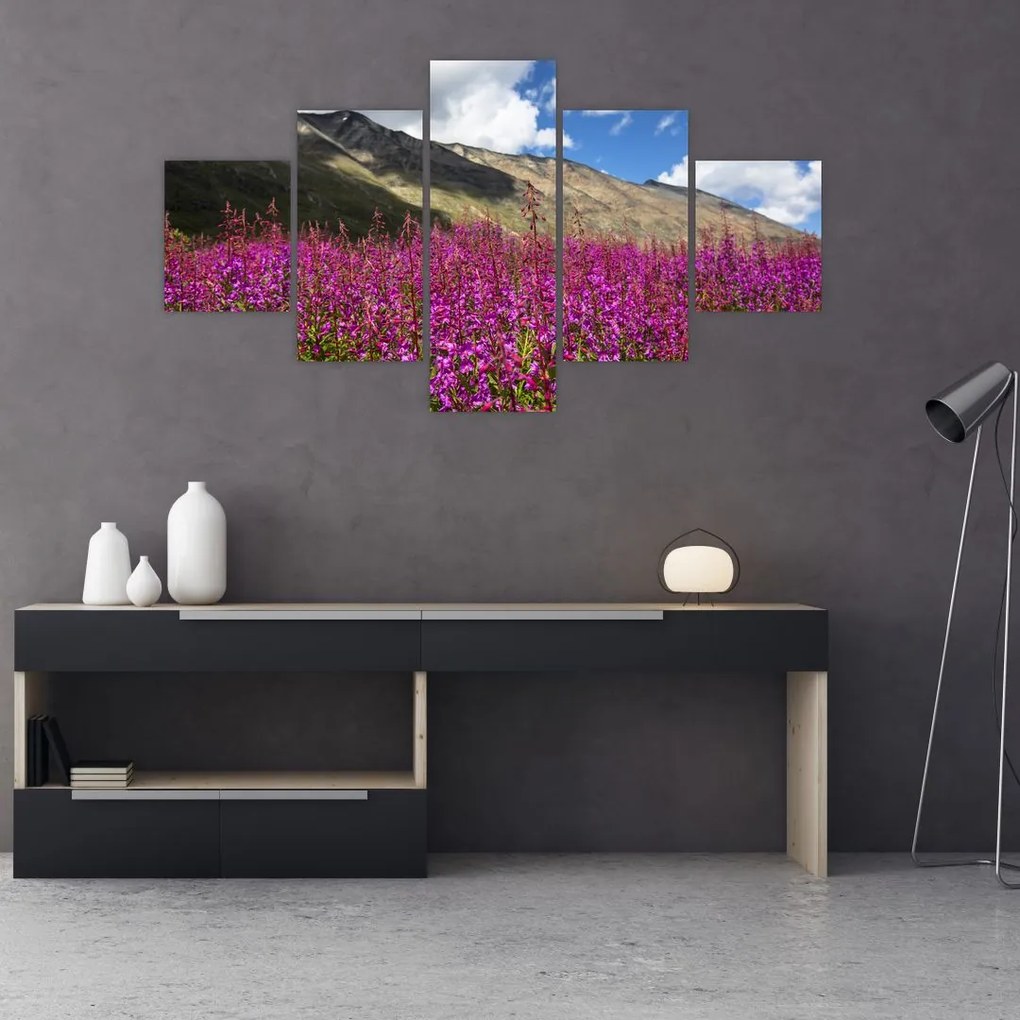 Obraz scenerii łąki górskiej (125x70 cm)