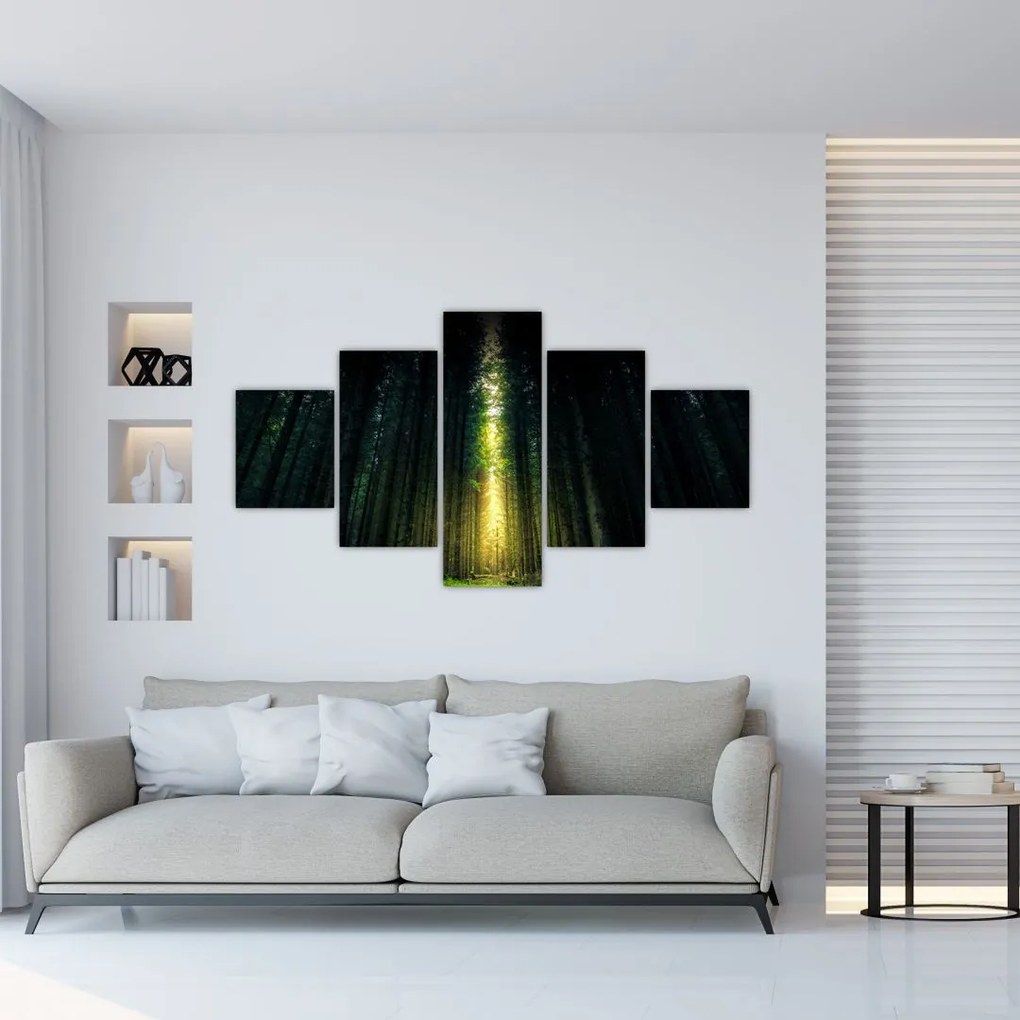 Obraz ciemnego lasu (125x70 cm)