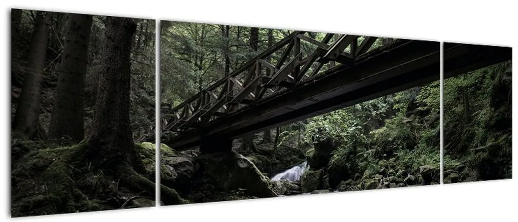 Obraz z czarnego lasu (170x50 cm)