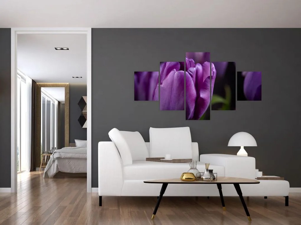 Obraz kwiatów tulipanów (125x70 cm)