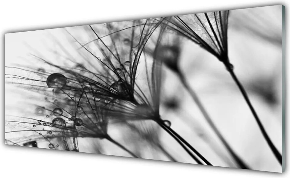 Panel Kuchenny Botaniczna Abstrakcja Graficzna