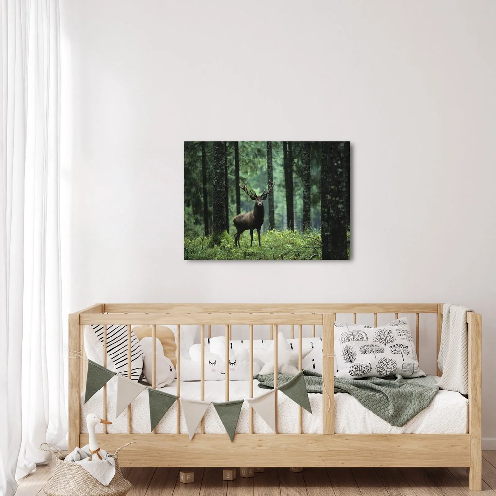 Obraz - Jeleń w głebokim lesie (70x50 cm)