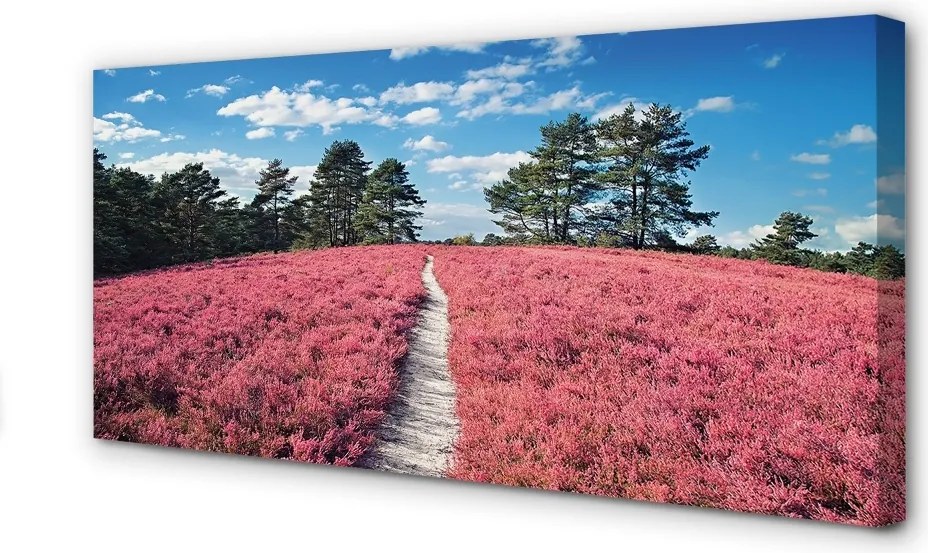 Obraz canvas na ścianę Pole Wrzosów i Las