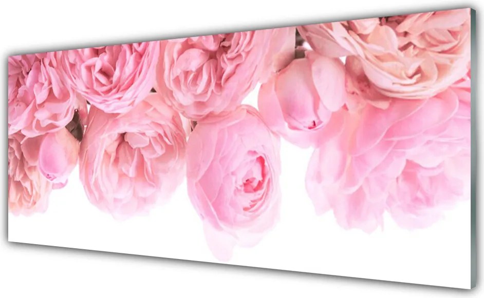 Panel Szklany do Kuchni Aksamitne Róże w Ogrodzie