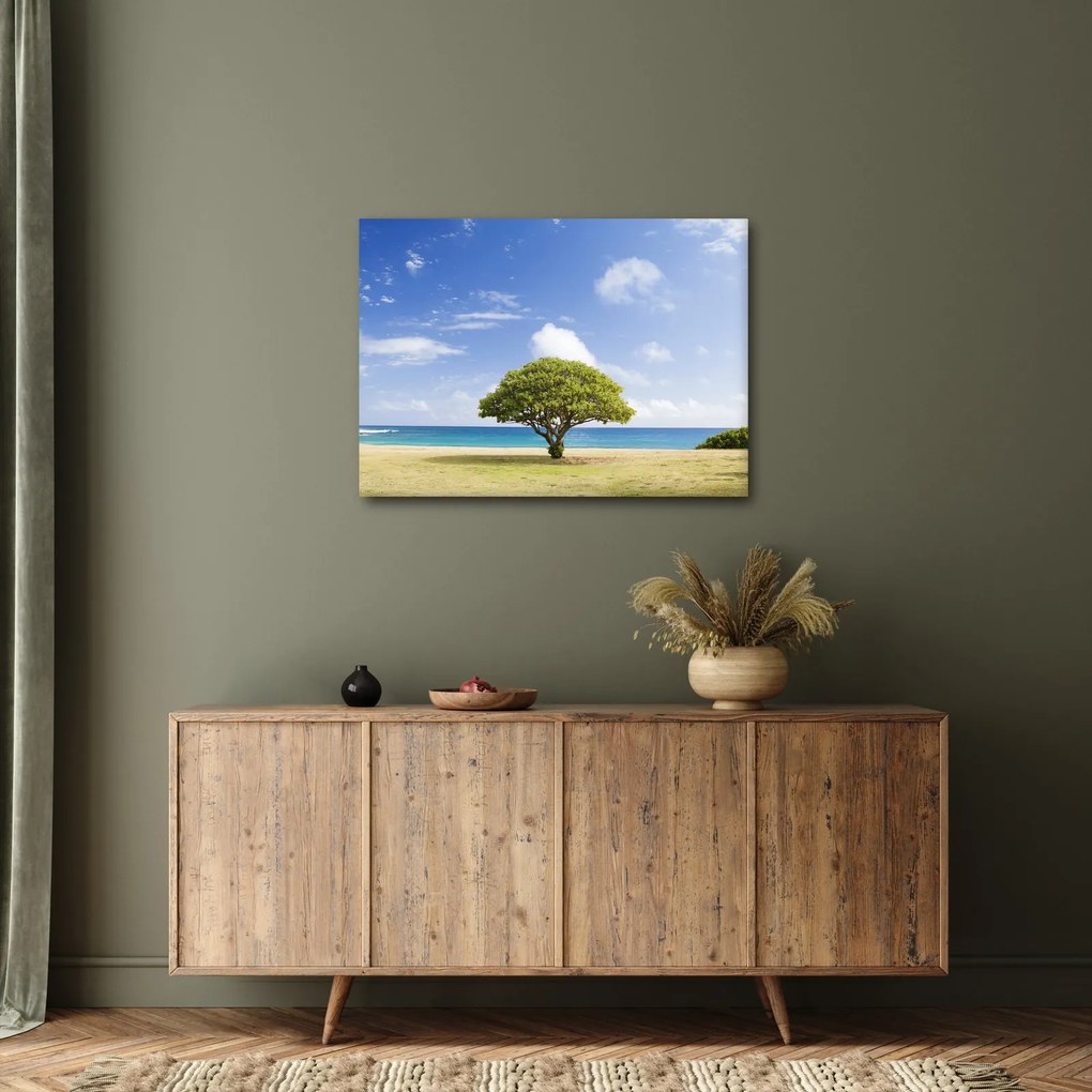 Obraz plaży z drzewem (70x50 cm)