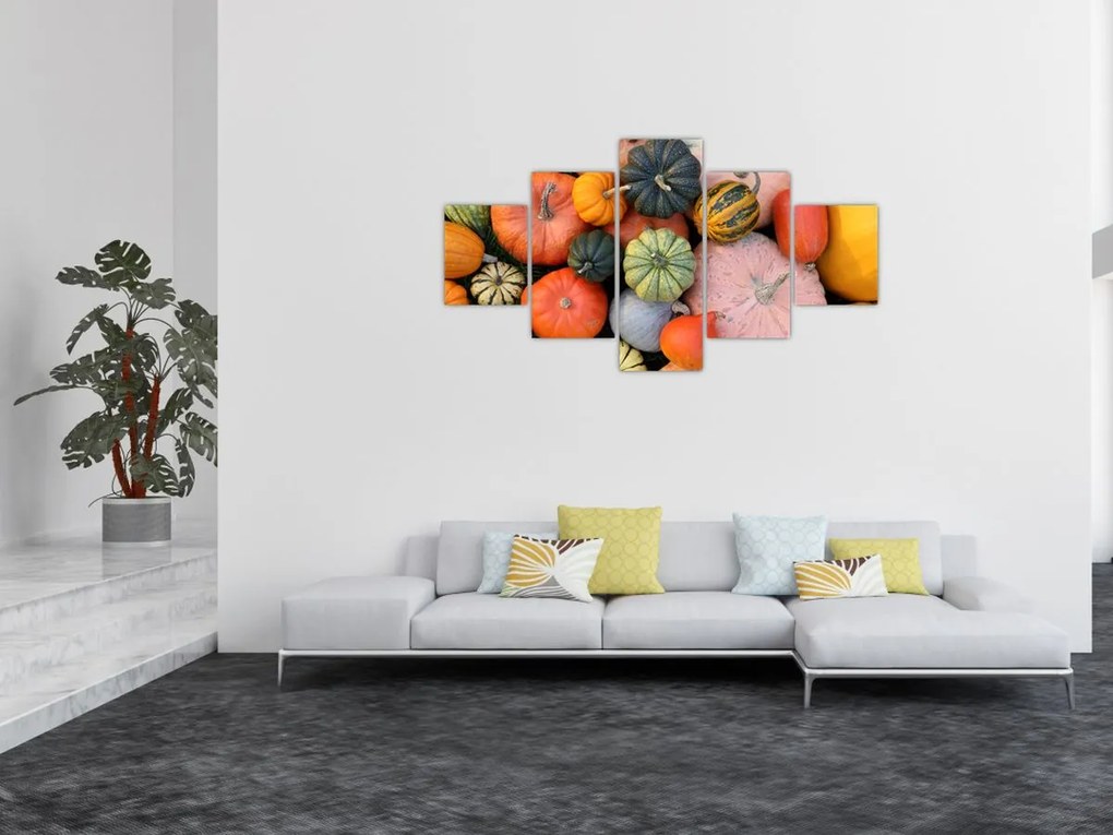 Obraz - Dynia (125x70 cm)