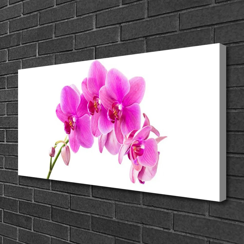 Obraz Canvas Storczyk Kwiat Orchidea