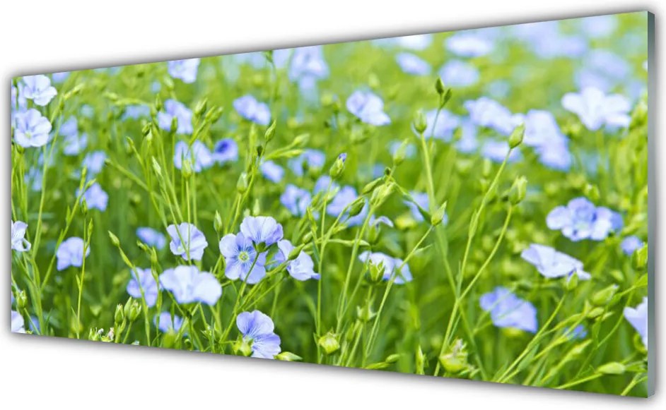 Panel Kuchenny Kwiaty W Polnej Trawie