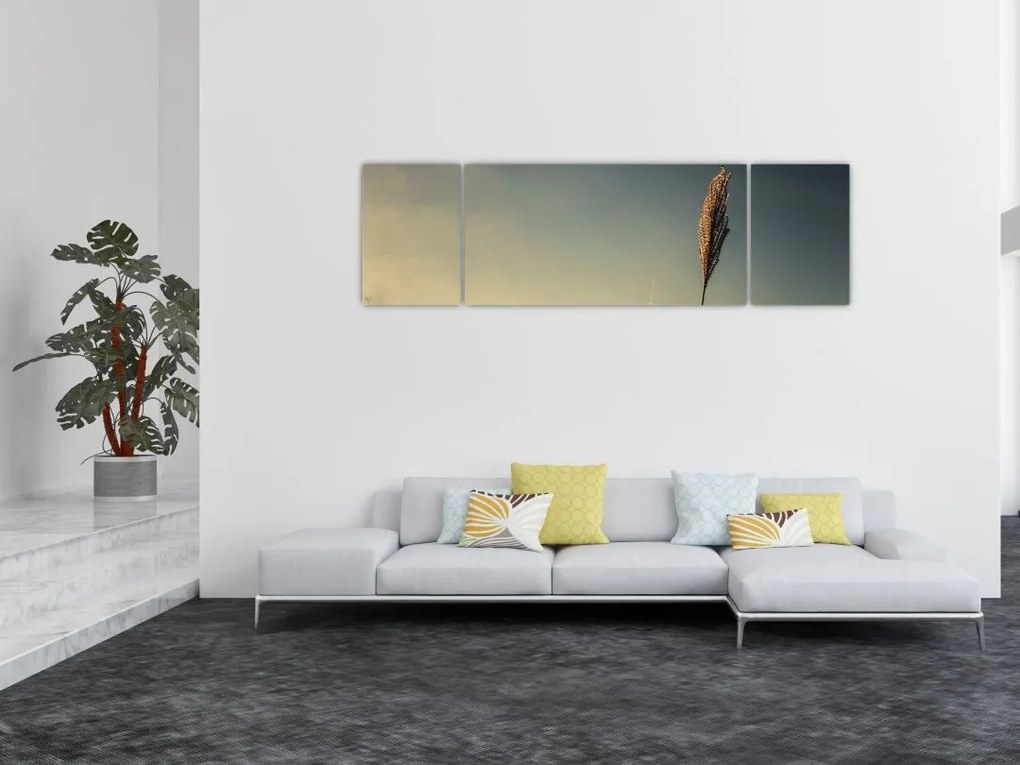 Obraz z trawą (170x50 cm)