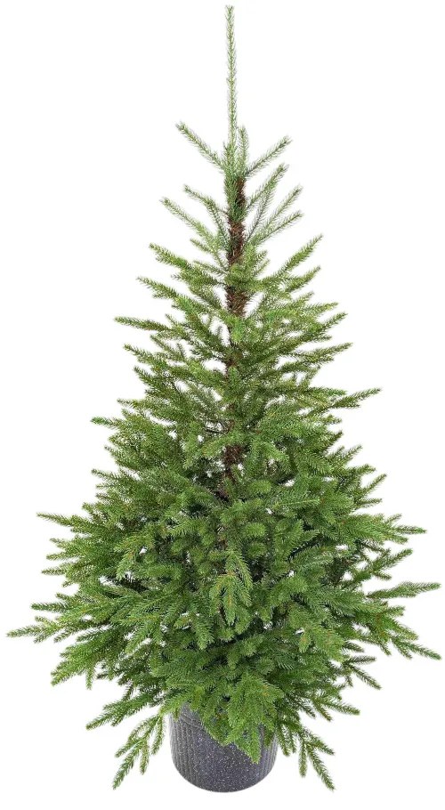 Choinka sztuczna w doniczce PE Świerk Karpacki 120cm