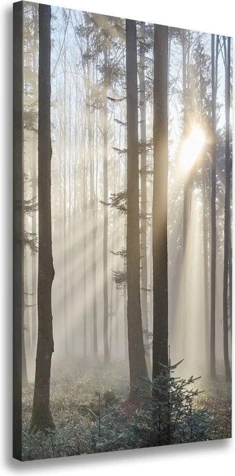 Foto obraz canvas pionowy Mgła w lesie