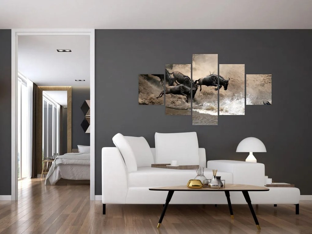 Obraz - Stado antylop gnu (125x70 cm)