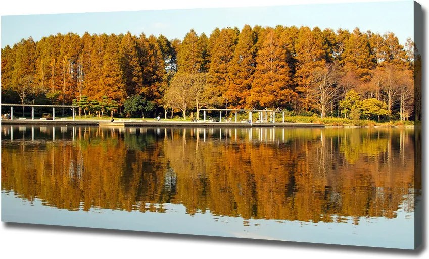 Foto obraz na płótnie Las nad jeziorem