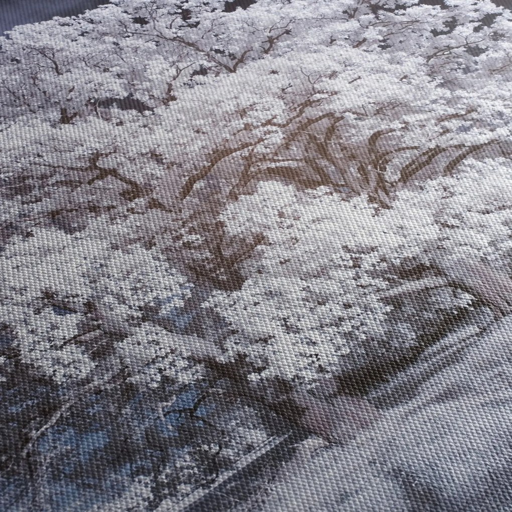 Obraz - Śnieżnobiałe drzewo (170x50 cm)